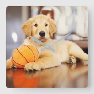 Goldener Retriever mit Basketballspielzeug Quadratische Wanduhr