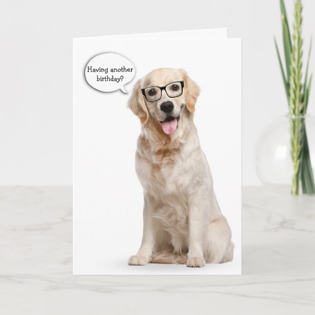 Goldener Retriever mit Brillen Geburtstag Karte (Vorderseite)