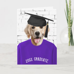 Goldener Retriever mit Graduierungshülse Karte