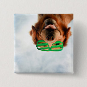Goldener Retriever mit grüner Sonnenbrille Button