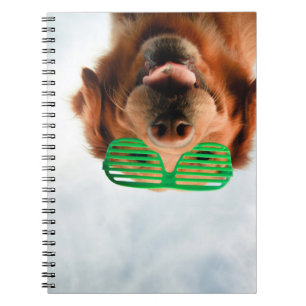 Goldener Retriever mit grüner Sonnenbrille Notizblock