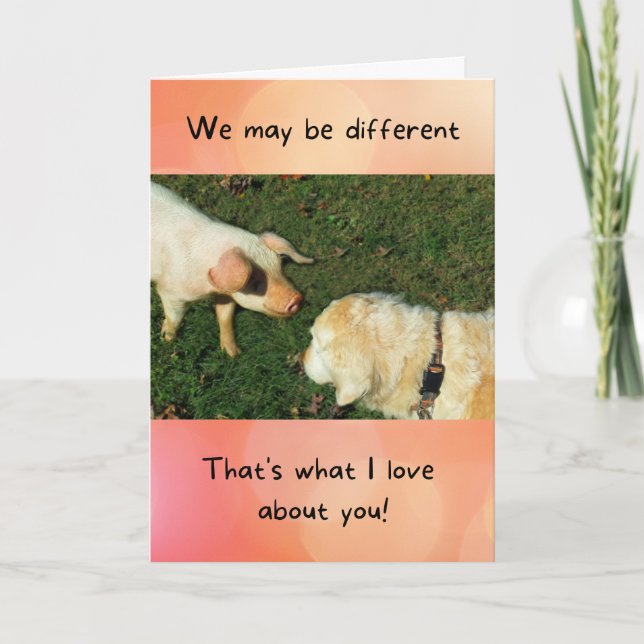 Goldener Retriever mit Pig Funny Jubiläumskarte Karte (Vorderseite)