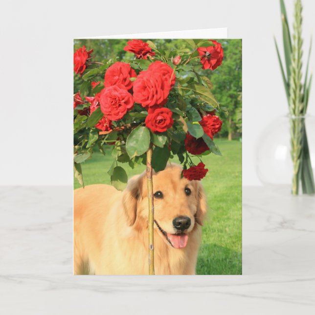 Goldener Retriever mit Rose, die an Sie denken Karte (Vorderseite)