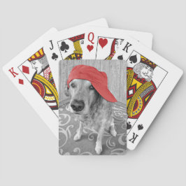 Goldener Retriever mit roter Verschlusskappe Spielkarten