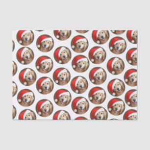 Goldener Retriever mit roter Weihnachtsmannmütze Seidenpapier