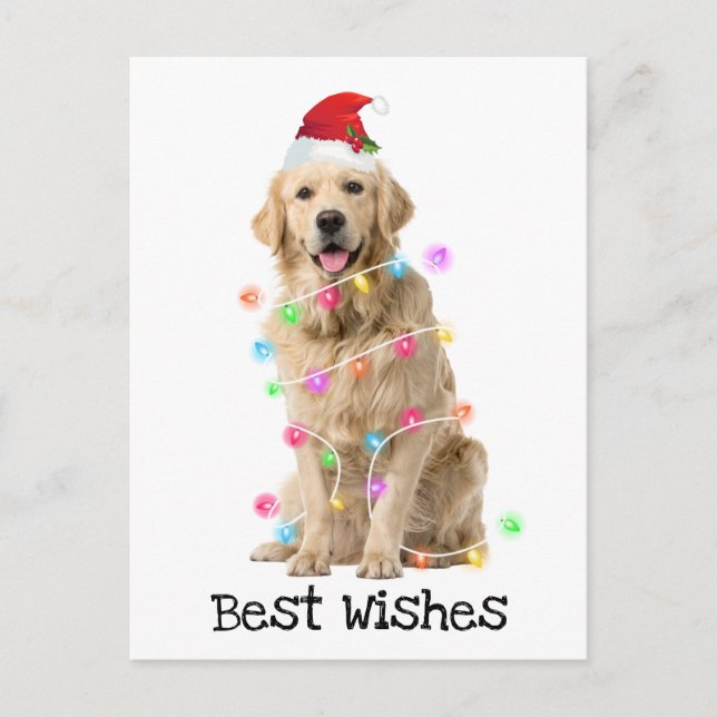 Goldener Retriever mit Weihnachtsbeleuchtung Feiertagspostkarte (Vorderseite)