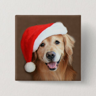 Goldener Retriever mit Weihnachtsmannmütze Button