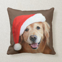 Goldener Retriever mit Weihnachtsmannmütze