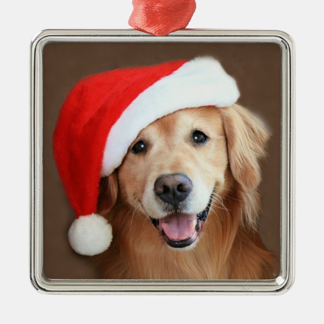 Goldener Retriever mit Weihnachtsmannmütze Ornament Aus Metall (Vorne)