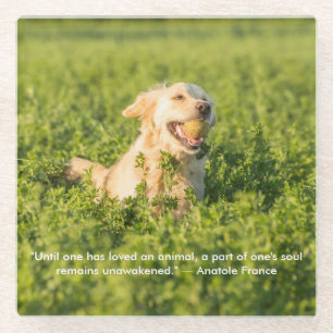 Goldener Retriever mit Zitat Glasuntersetzer