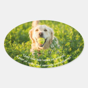 Goldener Retriever mit Zitat-Oval-Aufkleber Ovaler Aufkleber
