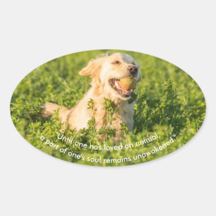 Goldener Retriever mit Zitat Ovaler Aufkleber