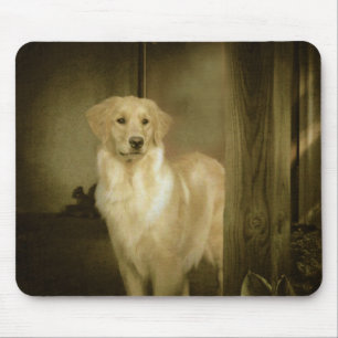 Goldener Retriever Mousepad Dame In Waiting