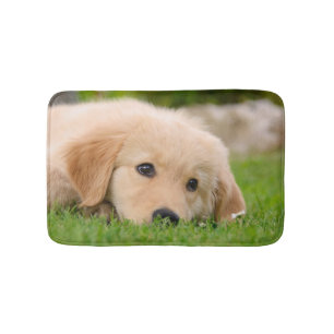 Goldener Retriever-niedlicher Welpe, der die Badematte