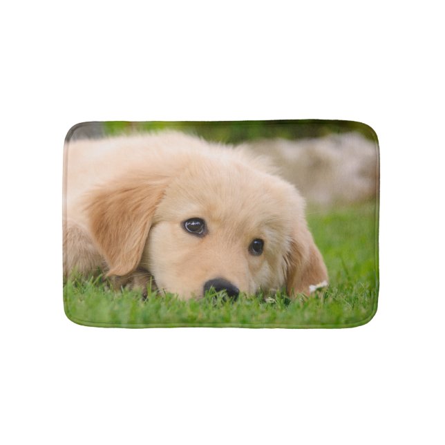 Goldener Retriever-niedlicher Welpe, der die Badematte (Vorderseite)