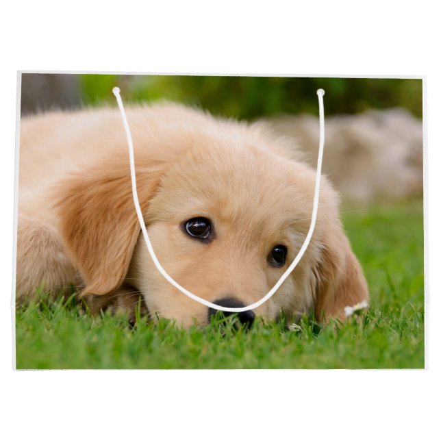 Goldener Retriever-niedlicher Welpe, der Porträt Große Geschenktüte (Rückseite)