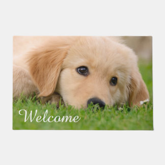 Goldener Retriever-niedlicher Welpe träumt Fußmatte