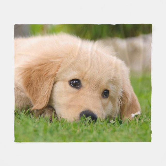 Goldener Retriever-niedliches Welpen-Träumen, cozy Fleecedecke (Vorderseite (Horizontal))