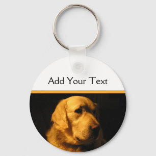 Goldener Retriever-Porträt-Schlüsselanhänger Schlüsselanhänger