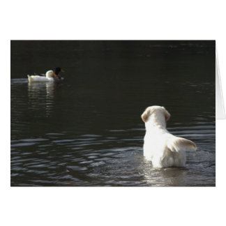 Goldener Retriever-Raum-Foto-Karte