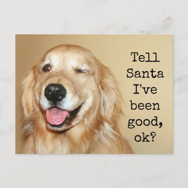 Goldener Retriever Sage Weihnachtskarte Feiertagspostkarte (Vorderseite)