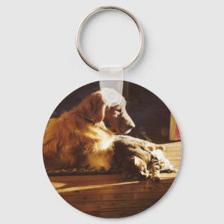 Goldener Retriever Schlüsselanhänger mit Katze