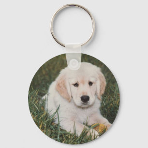 Goldener Retriever-Schlüsselanhänger-Welpe Schlüsselanhänger