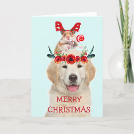 Goldener Retriever und Friends Weihnachten