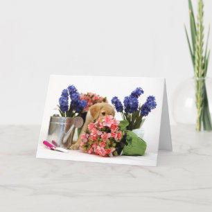 Goldener Retriever-Welpe, der die Blumen riecht Karte