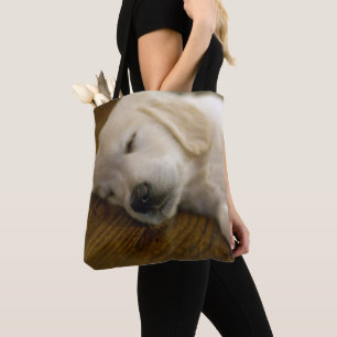 Goldener Retriever-Welpe nimmt ein Nickerchen Tasche