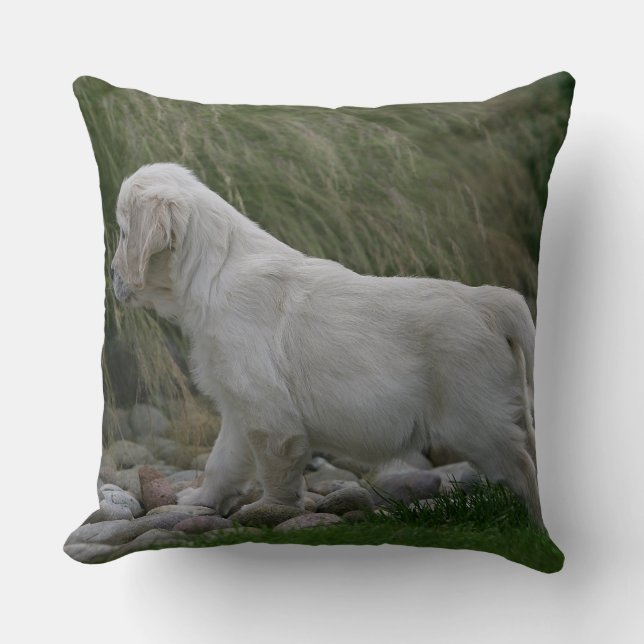 Goldener Retriever-Welpe stehend Kissen (Vorderseite)