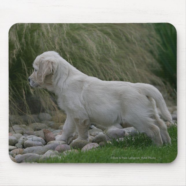 Goldener Retriever-Welpe stehend Mousepad (Vorne)