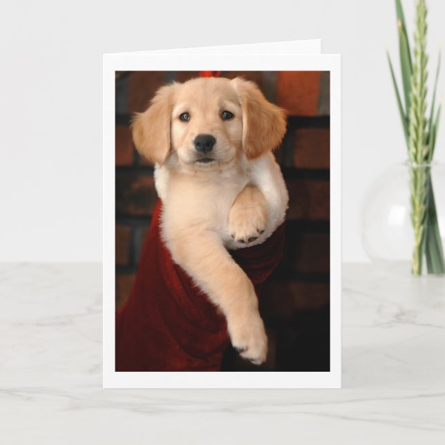 Goldener Retriever-Welpen-WeihnachtsStrumpf Feiertagskarte (Vorderseite)