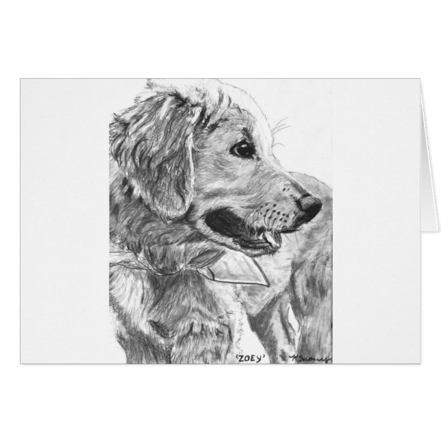 Goldener Retriever-Welpen-Zeichnen (Vorderseite (Horizontal))