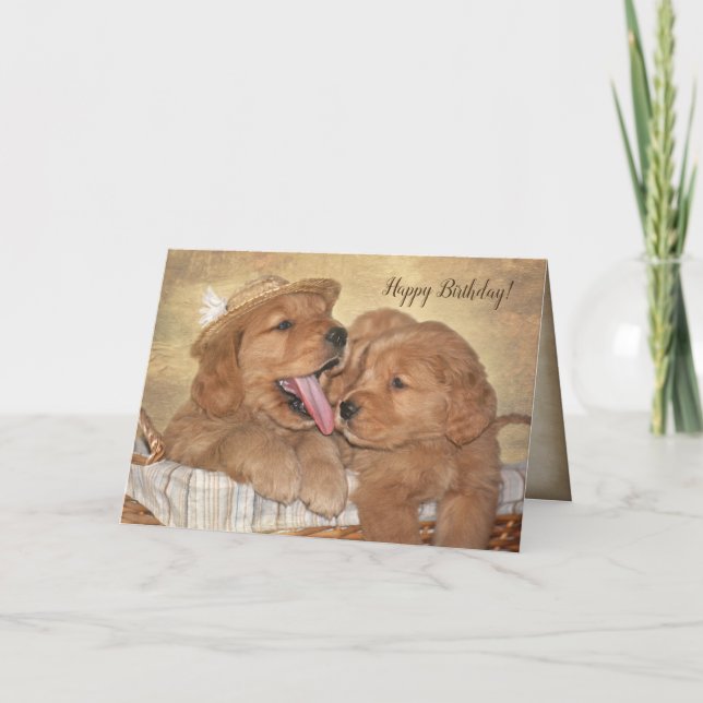 Goldener Retriever Welpenspass Karte (Vorderseite)