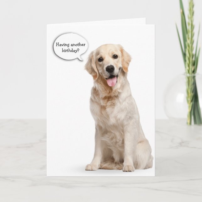 Goldener Retriever zum weißen Geburtstag Karte (Vorderseite)