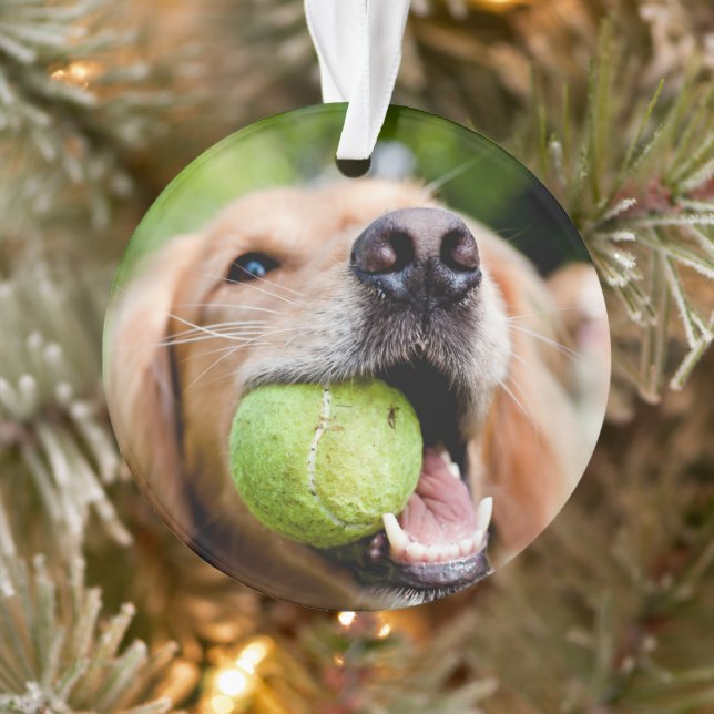 Goldener Rückzug mit Tennisball Ornament (Baum)