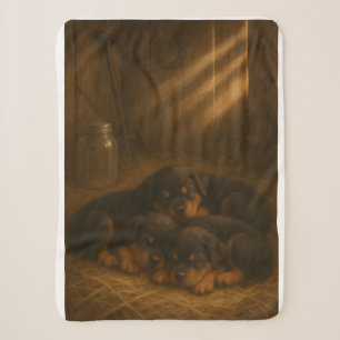Goldener Schlummer: Rottweiler-Welpen im Stallhund Sherpadecke