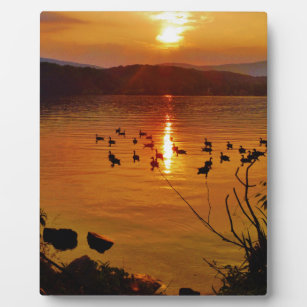 Goldener Seenuntergang mit Gänsen Fotoplatte