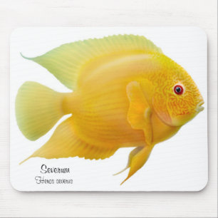 Goldener Severum Cichlid Mousepad