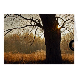 Goldener Sonnenaufgang