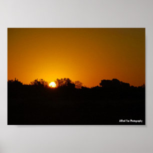 Goldener Sonnenaufgang Poster