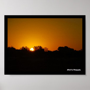 Goldener Sonnenaufgang Poster