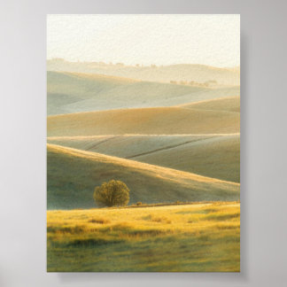 Goldener Sonnenaufgang über Rolling Hills Poster
