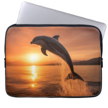 Goldener Sonnenuntergang Delfin