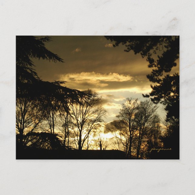 goldener Sonnenuntergang Postkarte (Vorderseite)