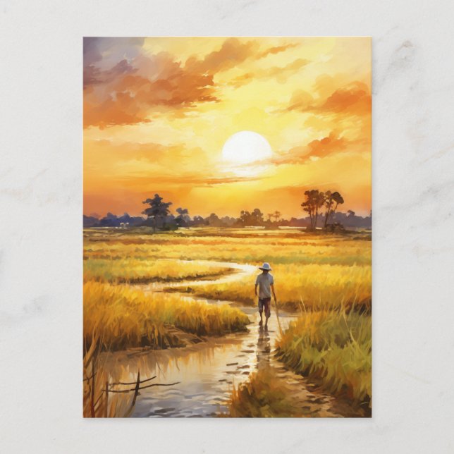 Goldener Sonnenuntergang über Reisfeldern Postkarte (Vorderseite)
