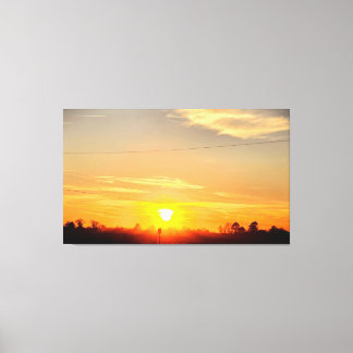 Goldener Sonnenuntergang über schattigen Bäumen Leinwanddruck