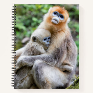 Goldener Stumpfnasen-Affe mit Baby Notizbuch