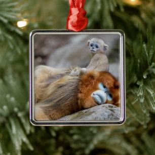 Goldener Stumpfnasen-Affe Vater mit Baby Ornament Aus Metall